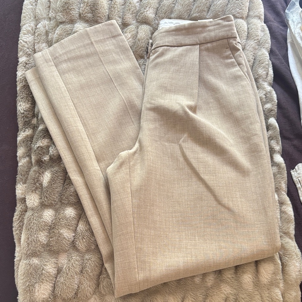 Aritzia Trousers